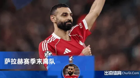 “丽马出行全指南大公开”